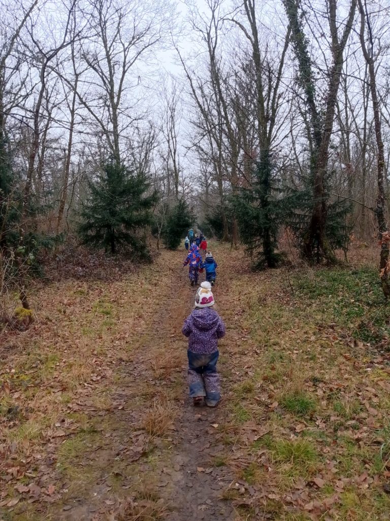 jardin d'enfant balade en foret