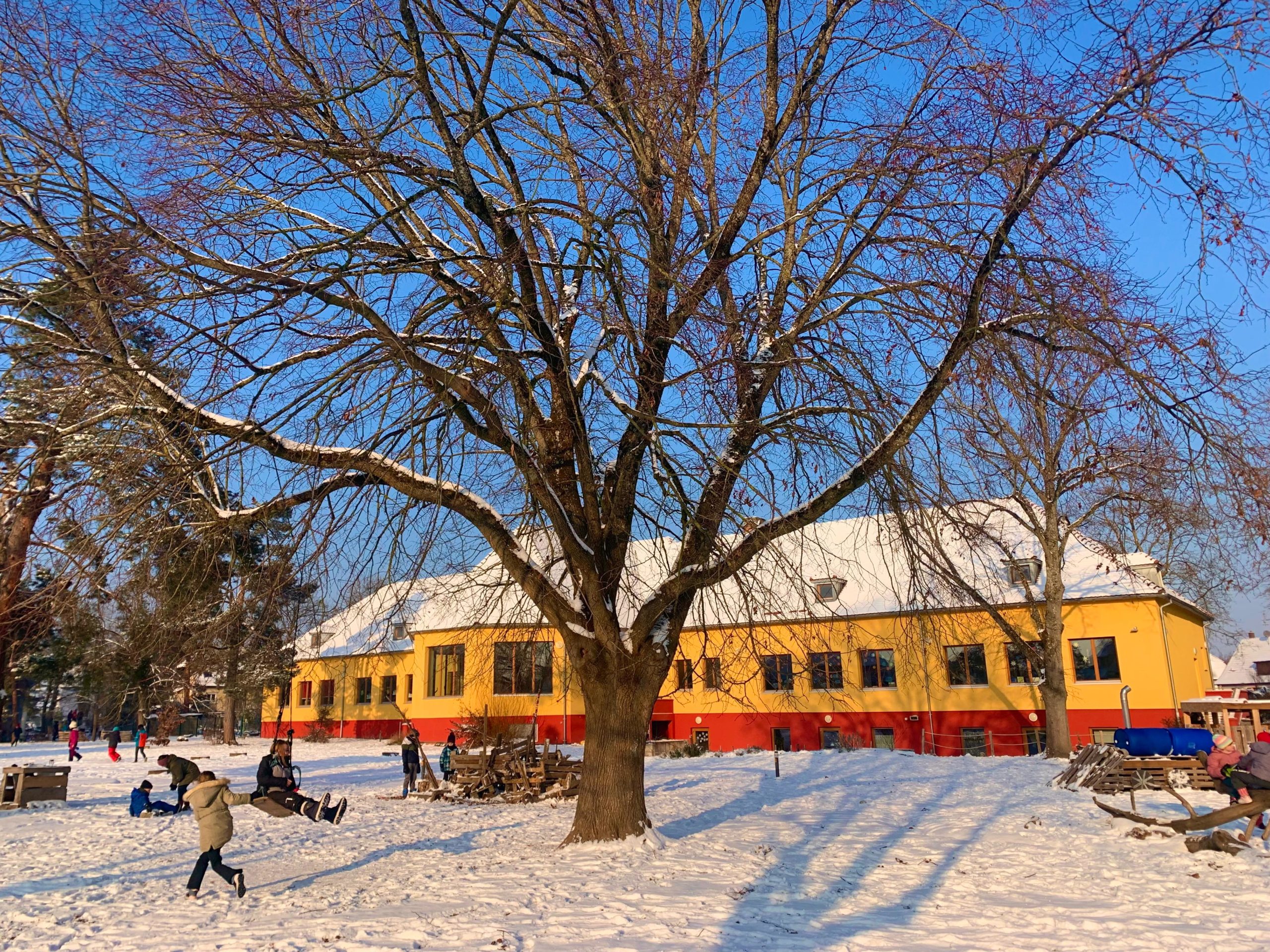 Matinée d’information